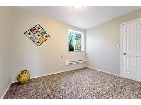 5540 North Rd, Divide, CO 80814 photo 21