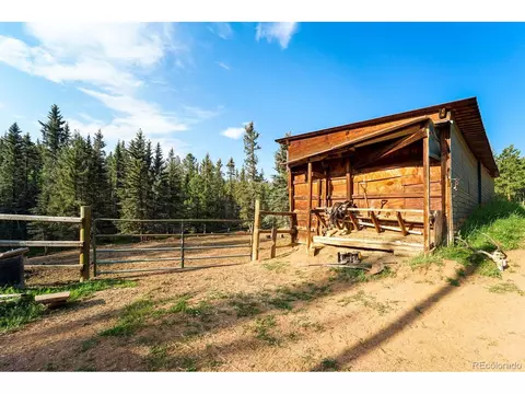 5540 North Rd, Divide, CO 80814 photo 30