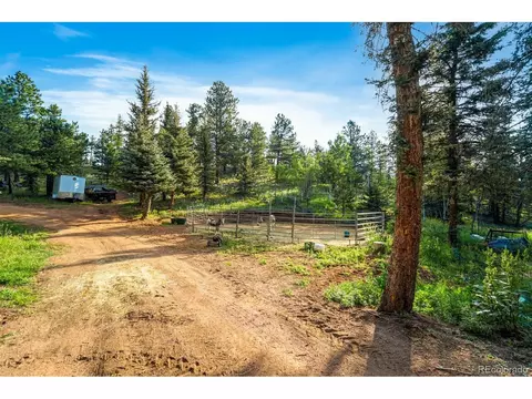 5540 North Rd, Divide, CO 80814 photo 37