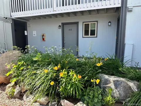 1901 Clear Creek Dr #E-103, Georgetown, CO 80444