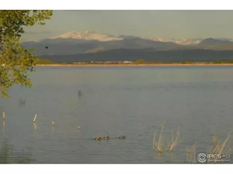 3251 Boundless Ln, Timnath, CO 80547 photo 3