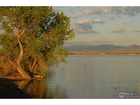 3251 Boundless Ln, Timnath, CO 80547 photo 6