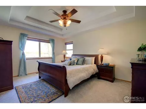 133 Eagle Ave, Mead, CO 80542 photo 9