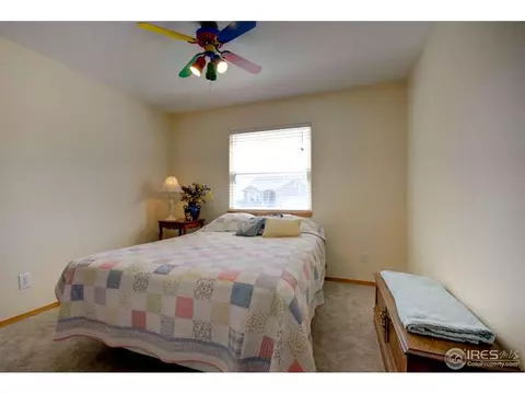 133 Eagle Ave, Mead, CO 80542 photo 10