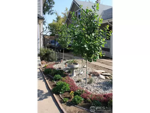 1129 11th St, Greeley, CO 80631 photo 5