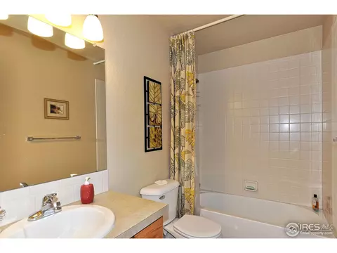 1056 Canal Dr, Windsor, CO 80550 photo 16