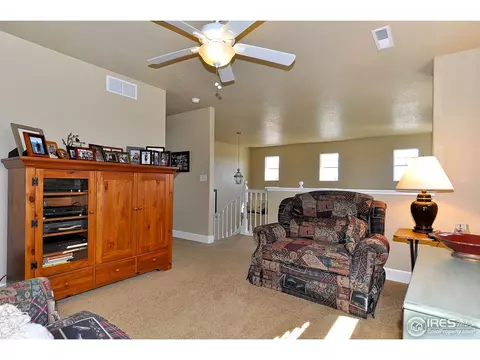 1056 Canal Dr, Windsor, CO 80550 photo 10