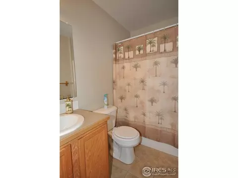 251 1st St, Windsor, CO 80550 photo 13