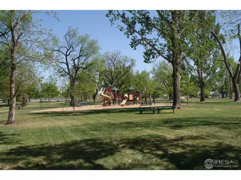 251 1st St, Windsor, CO 80550 photo 22