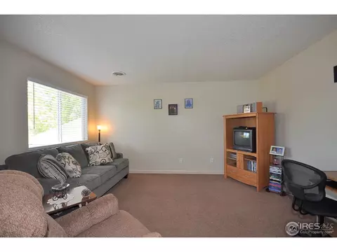 251 1st St, Windsor, CO 80550 photo 5