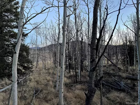 406 Tipi Ln, Como, CO 80432 photo 4