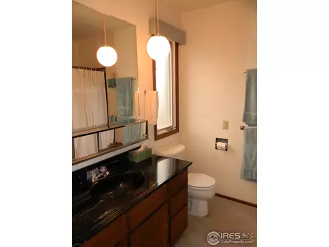 2717 Martingale Dr, Berthoud, CO 80513 photo 14