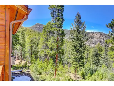 42 Evergreen Rd, Bailey, CO 80421 photo 27