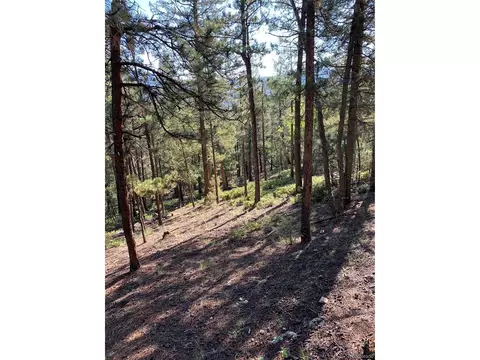 12907 S Cindy Ave, Pine, CO 80470 photo 14