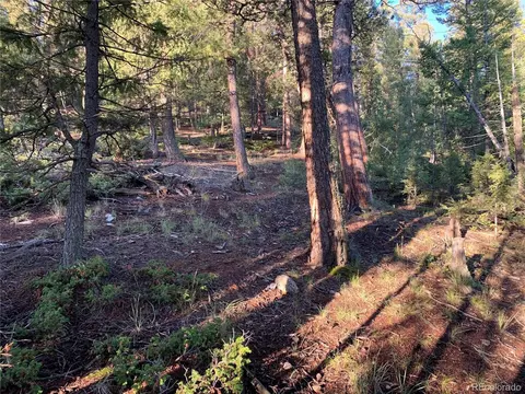 12907 S Cindy Ave, Pine, CO 80470 photo 13