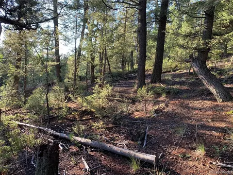 12907 S Cindy Ave, Pine, CO 80470