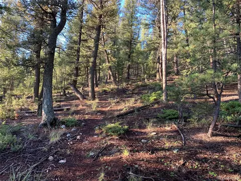 12907 S Cindy Ave, Pine, CO 80470 photo 3