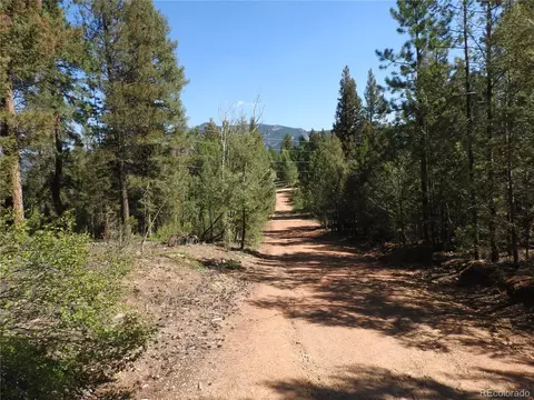 12907 S Cindy Ave, Pine, CO 80470 photo 5