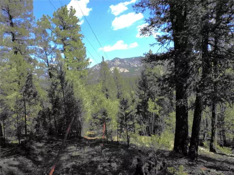 12907 S Cindy Ave, Pine, CO 80470 photo 4