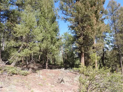 12907 S Cindy Ave, Pine, CO 80470 photo 10