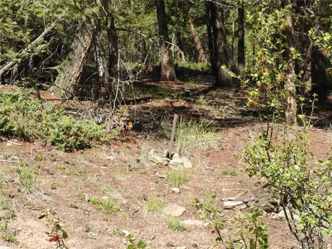 12907 S Cindy Ave, Pine, CO 80470 photo 7