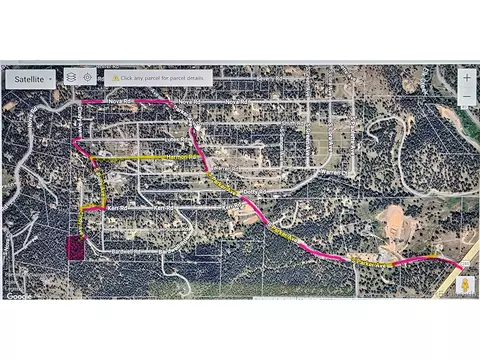 12907 S Cindy Ave, Pine, CO 80470 photo 26