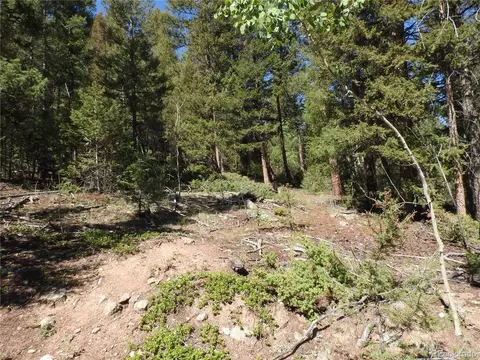12907 S Cindy Ave, Pine, CO 80470 photo 11