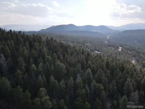 12907 S Cindy Ave, Pine, CO 80470 photo 21