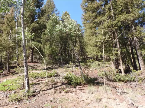 12907 S Cindy Ave, Pine, CO 80470 photo 9
