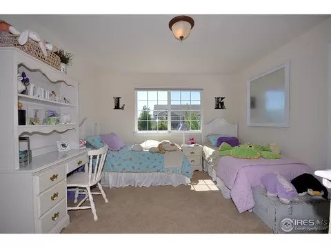 5322 Moonlight Bay Dr, Windsor, CO 80528 photo 18