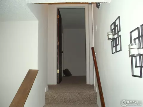 560 10th St, Windsor, CO 80550 photo 14