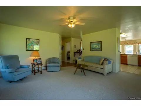 199 Blarney Stone Rd, Howard, CO 81233 photo 13