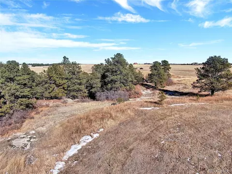 10625 Big Sky Trl, Elbert, CO 80106 photo 5