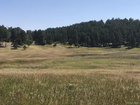 10625 Big Sky Trl, Elbert, CO 80106 photo 35