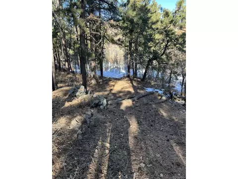 10625 Big Sky Trl, Elbert, CO 80106 photo 19