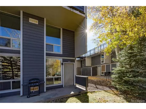 340 Straight Creek Dr #201, Dillon, CO 80435