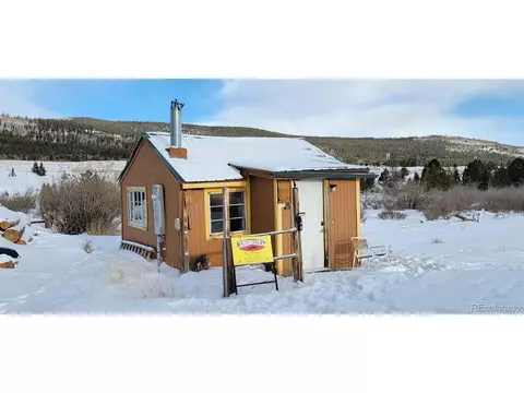 33 E Northrup St, Alma, CO 80420
