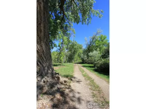 3816 Buckskin Trl, Laporte, CO 80535 photo 23