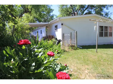 3816 Buckskin Trl, Laporte, CO 80535 photo 5
