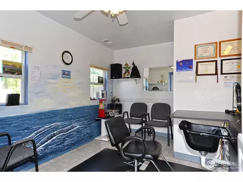 2908 Killarney Dr, Laporte, CO 80535 photo 13