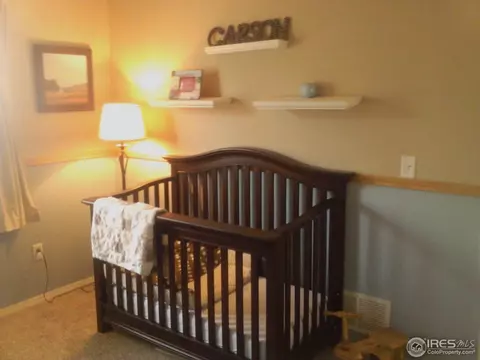 6561 Stagecoach Ave, Firestone, CO 80504 photo 11