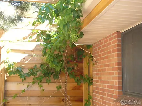 255 Seminole Dr, Boulder, CO 80303 photo 20