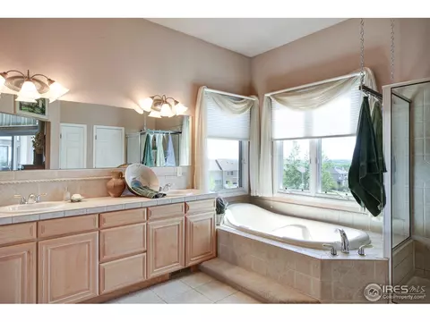 843 Panorama Pl, Windsor, CO 80550 photo 14