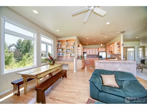 843 Panorama Pl, Windsor, CO 80550 photo 9