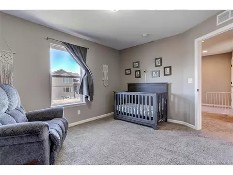 409 Audubon Blvd, Severance, CO 80550 photo 25