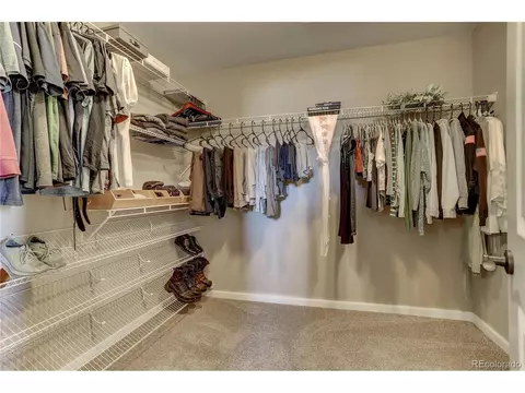 409 Audubon Blvd, Severance, CO 80550 photo 20