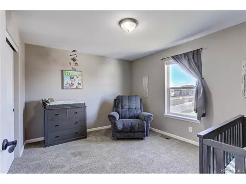 409 Audubon Blvd, Severance, CO 80550 photo 26
