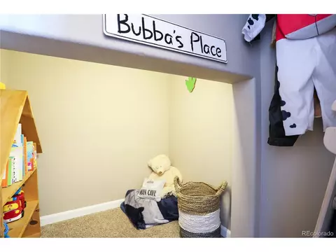 409 Audubon Blvd, Severance, CO 80550 photo 23