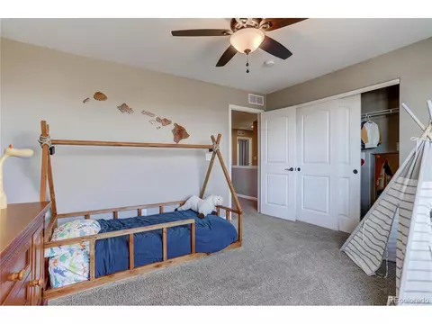409 Audubon Blvd, Severance, CO 80550 photo 22