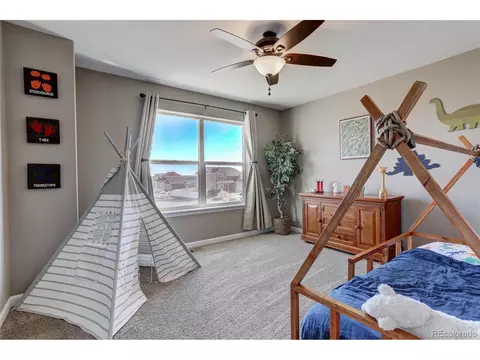 409 Audubon Blvd, Severance, CO 80550 photo 21